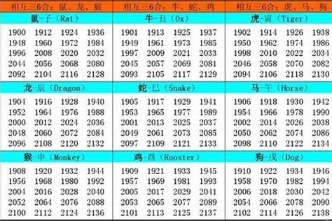 2002年 生肖|2002年属什么生肖